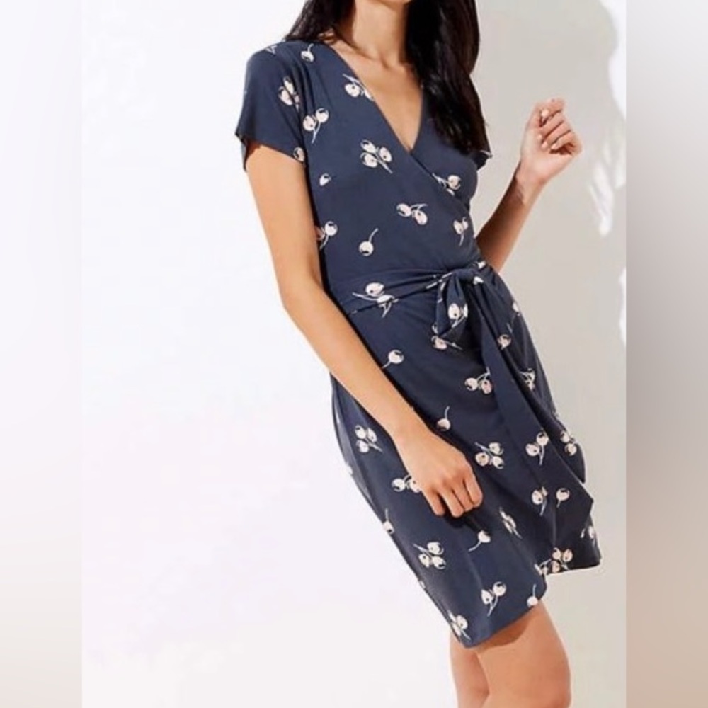 Never worn, cute, wraparound dress. Smoke-free immaculate home.